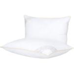 Buddemeyer Kit Travesseiro 50x70cm Toque de Pluma Algodão Branco 2 peças