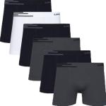 Kit 6 Cuecas Boxer Lupo Microfibra Poliamida Sem Costura Adulto Masculino, Tamanhos P, M e GG por R$ 123,49 à vista no Pix!