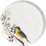 Porto Brasil Conjunto com 6 Pratos Rasos Bio Birdy por R$ 176,42 5x sem juros!
