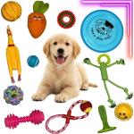 Kit 12 Brinquedos Pet para Cachorro, Com Mordedores Duráveis, Cordas e Bolinhas Resistentes, Brinquedo Interativo Anti-Stress para Cães, Exercícios para Filhotes e Adultos, Diversão e Cuidado Dental por R$ 97,11 3x sem juros!