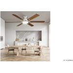 Amazon - Airwit Ventilador de Teto Silencioso com Controle Remoto, Bivolt 127V/220V, 132,08cm